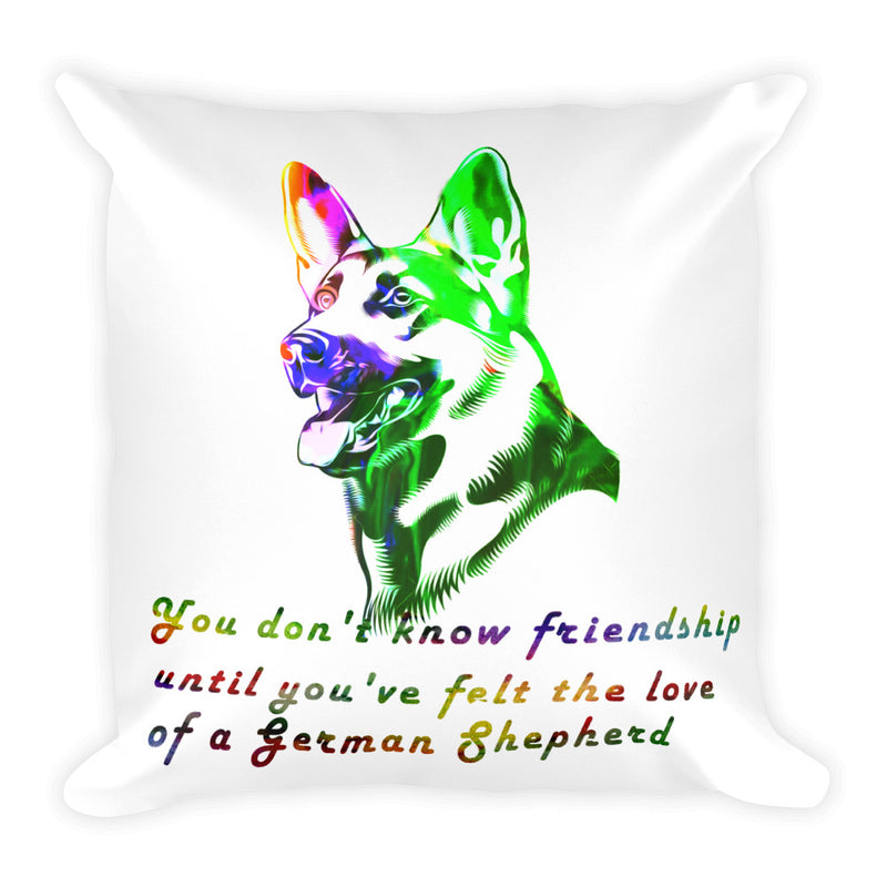 Friendship Square Pillow